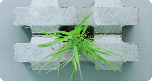 Carbon Bricks project visual