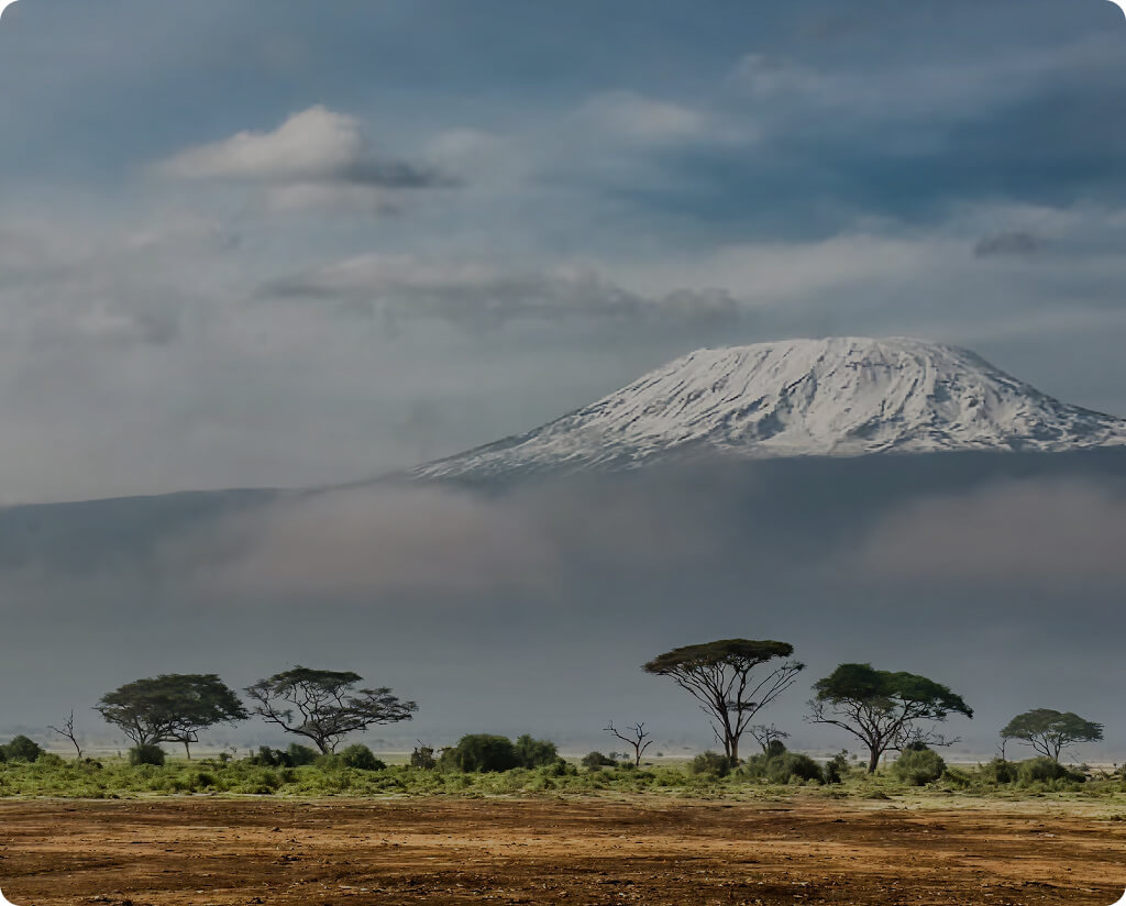 Carbon Dioxide Removal project in Kenya