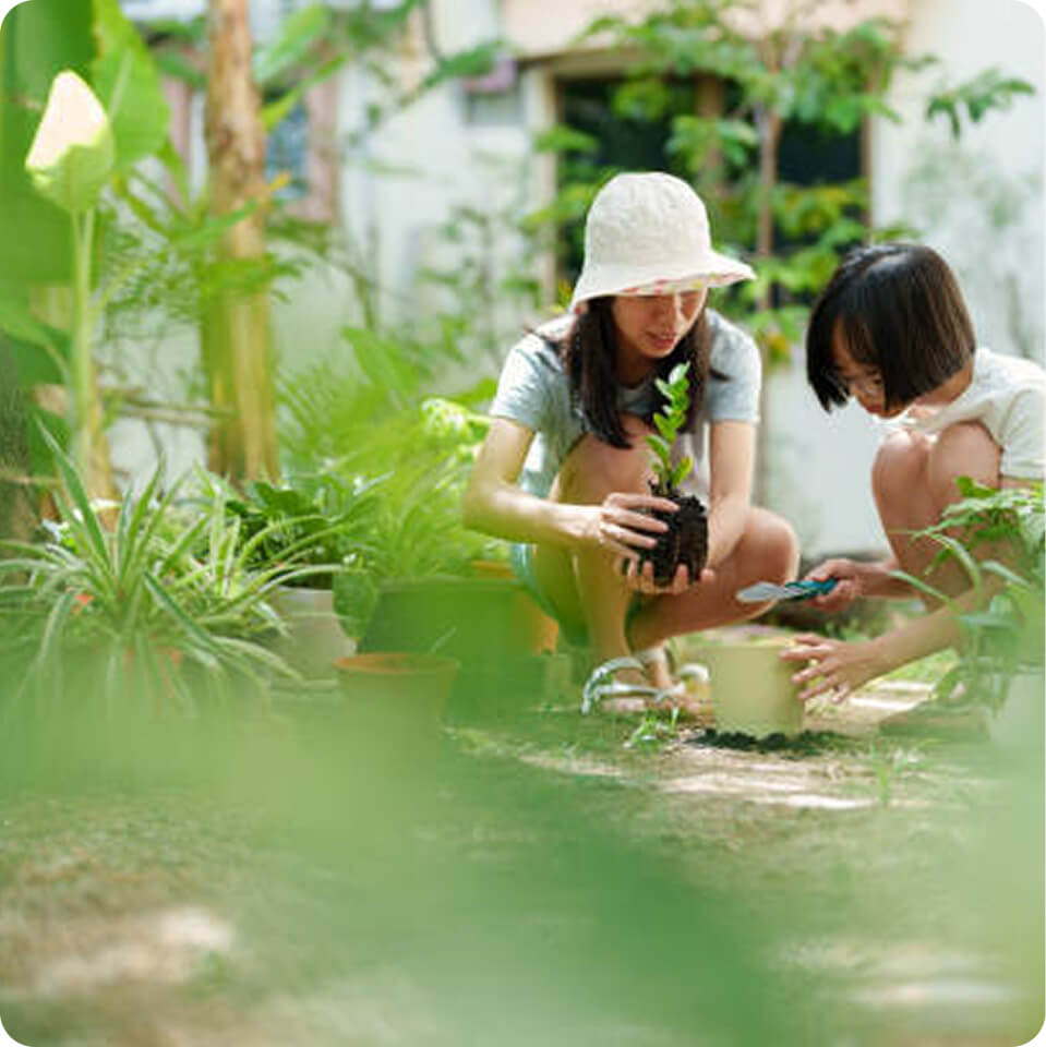 Nature based initiative visual one